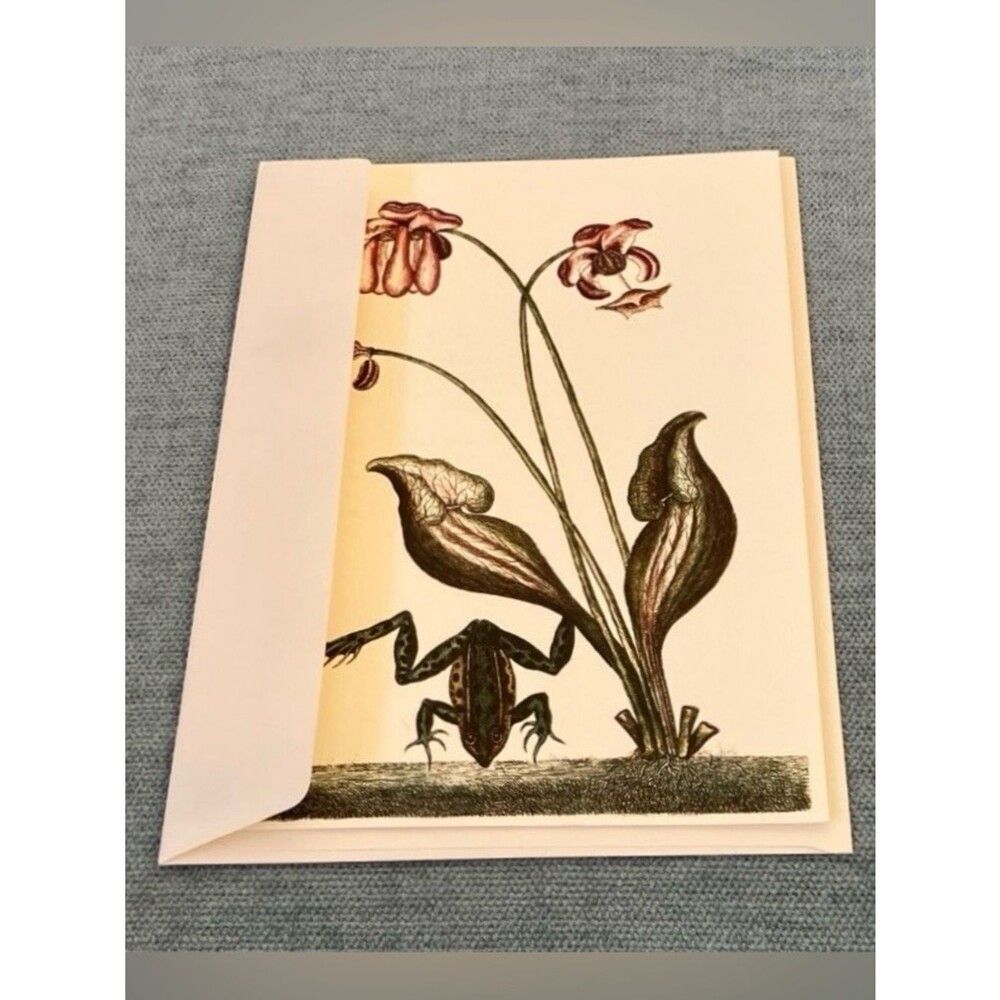 The Water Frog The Colonial Williamsburg Foundation Card